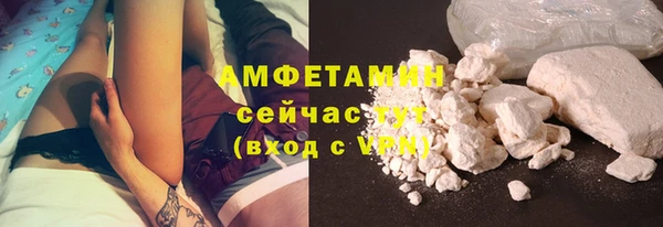 СК Алексин