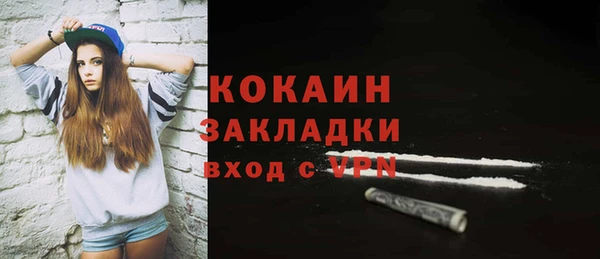 СК Алексин
