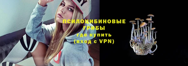 твердый Пролетарск