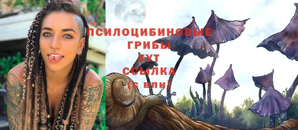 марки nbome Алзамай
