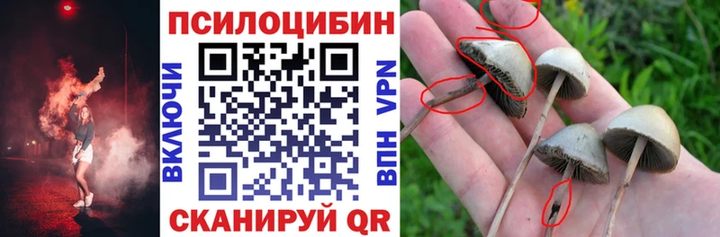 Псилоцибиновые грибы Cubensis  OMG маркетплейс  Саров  где купить наркоту 