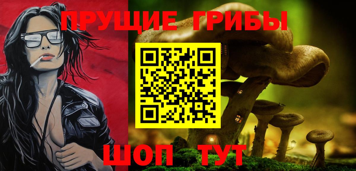 Саров  Галлюциногенные грибы мухоморы  Псилоцибиновые грибы Cubensis  Вход с VPN 
